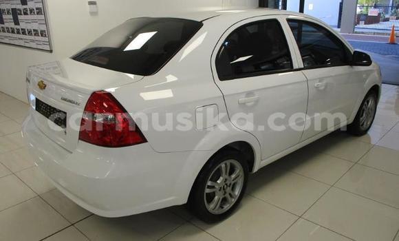 Buy Used Chevrolet Aveo White Car in Harare in Harare Buy Used Chevrolet Aveo White Car in Harare in Harare