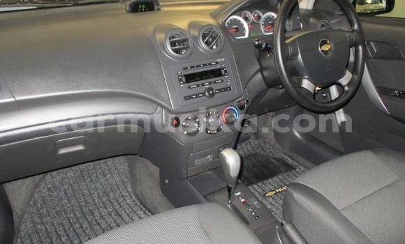 Buy Used Chevrolet Aveo White Car in Harare in Harare Buy Used Chevrolet Aveo White Car in Harare in Harare