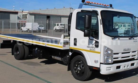 Buy Used Isuzu Elf White Truck in Beitbridge in Matabeleland South