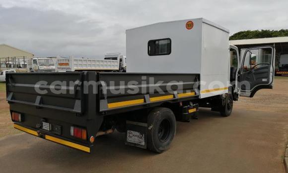 Acheter Occasion Utilitaire Isuzu Elf Noir à Beitbridge, Matabeleland South Acheter Occasion Utilitaire Isuzu Elf Noir à Beitbridge, Matabeleland South