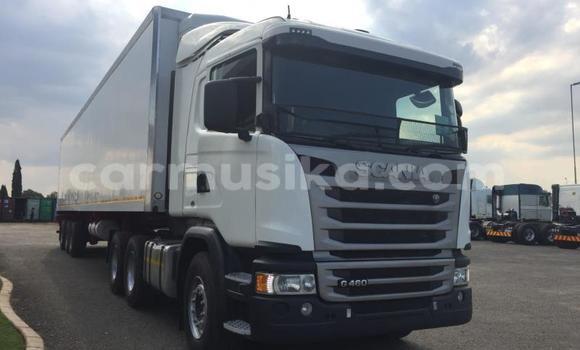 Buy Used Scania R420 White Truck in Beitbridge in Matabeleland South