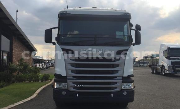 Tenga Tsaru Scania R420 Chena Rori in Beitbridge in Matabeleland South Tenga Tsaru Scania R420 Chena Rori in Beitbridge in Matabeleland South