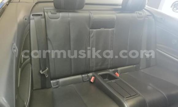 Buy Used BMW M4 Blue Car in Beitbridge in Matabeleland South Buy Used BMW M4 Blue Car in Beitbridge in Matabeleland South