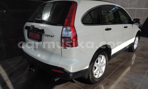 Buy Used Honda CR–V White Car in Beitbridge in Matabeleland South Buy Used Honda CR–V White Car in Beitbridge in Matabeleland South