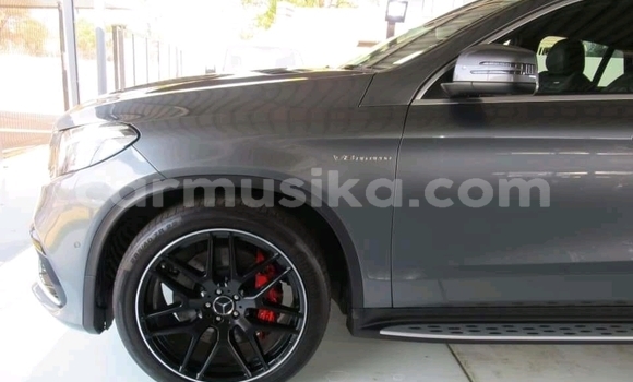 Tenga Tsaru Mercedes‒Benz GLE Sirivha Mota in Beitbridge in Matabeleland South Tenga Tsaru Mercedes‒Benz GLE Sirivha Mota in Beitbridge in Matabeleland South