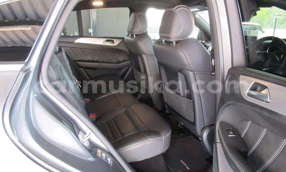 Tenga Tsaru Mercedes‒Benz GLE Sirivha Mota in Beitbridge in Matabeleland South Tenga Tsaru Mercedes‒Benz GLE Sirivha Mota in Beitbridge in Matabeleland South