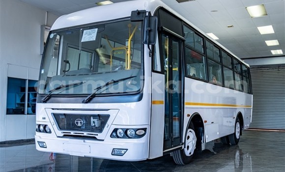 Nunua Ilio tumika TATA Safari Nyeupe Gari ndani ya Harare nchini Harare