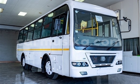 Tenga Tsaru TATA Safari Chena Mota in Harare in Harare Tenga Tsaru TATA Safari Chena Mota in Harare in Harare