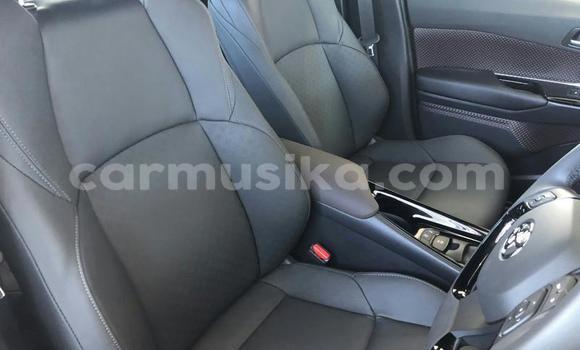 Buy Used Toyota C-HR Silver Car in Beitbridge in Matabeleland South Buy Used Toyota C-HR Silver Car in Beitbridge in Matabeleland South