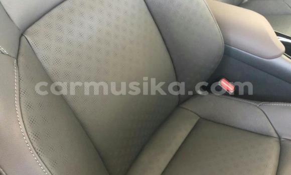 Buy Used Toyota C-HR Silver Car in Beitbridge in Matabeleland South Buy Used Toyota C-HR Silver Car in Beitbridge in Matabeleland South