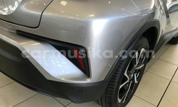 Buy Used Toyota C-HR Silver Car in Beitbridge in Matabeleland South Buy Used Toyota C-HR Silver Car in Beitbridge in Matabeleland South