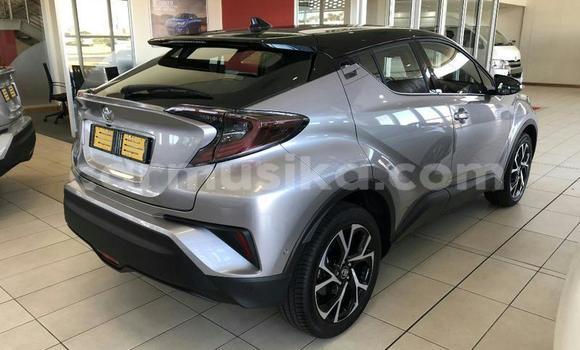 Buy Used Toyota C-HR Silver Car in Beitbridge in Matabeleland South Buy Used Toyota C-HR Silver Car in Beitbridge in Matabeleland South