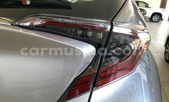 Buy Used Toyota C-HR Silver Car in Beitbridge in Matabeleland South Buy Used Toyota C-HR Silver Car in Beitbridge in Matabeleland South