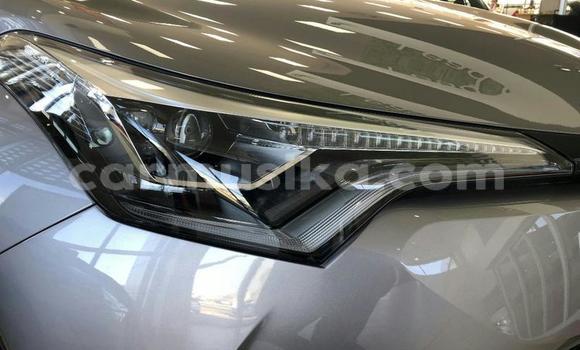 Buy Used Toyota C-HR Silver Car in Beitbridge in Matabeleland South Buy Used Toyota C-HR Silver Car in Beitbridge in Matabeleland South