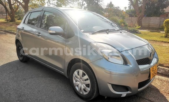 Buy Used Toyota Vitz Silver Car in Harare in Harare Buy Used Toyota Vitz Silver Car in Harare in Harare