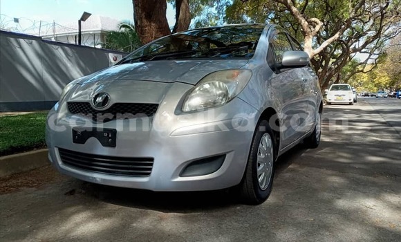 Tenga Tsaru Toyota Vitz Zvimwe Mota in Harare in Harare Tenga Tsaru Toyota Vitz Zvimwe Mota in Harare in Harare