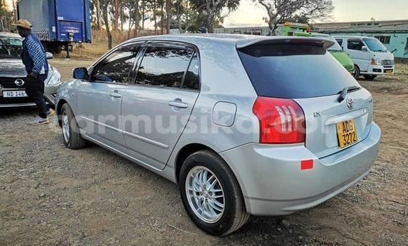 Tenga Tsaru Toyota Runx Sirivha Mota in Harare in Harare Tenga Tsaru Toyota Runx Sirivha Mota in Harare in Harare