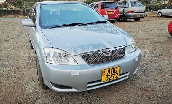 Tenga Tsaru Toyota Runx Sirivha Mota in Harare in Harare Tenga Tsaru Toyota Runx Sirivha Mota in Harare in Harare