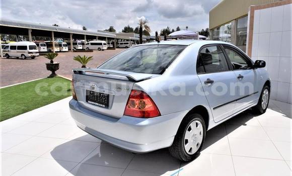 Buy Used Toyota Corolla Blue Car in Beitbridge in Matabeleland South Buy Used Toyota Corolla Blue Car in Beitbridge in Matabeleland South