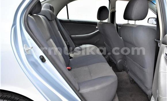 Buy Used Toyota Corolla Blue Car in Beitbridge in Matabeleland South Buy Used Toyota Corolla Blue Car in Beitbridge in Matabeleland South