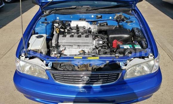 Nunua Ilio tumika Toyota Corolla Bluu Gari ndani ya Beitbridge nchini Matabeleland Kusini Nunua Ilio tumika Toyota Corolla Bluu Gari ndani ya Beitbridge nchini Matabeleland Kusini