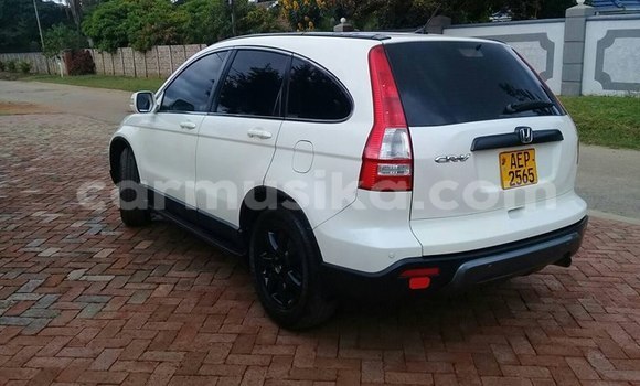 Tenga Tsaru Honda CR–V Chena Mota in Harare in Harare Tenga Tsaru Honda CR–V Chena Mota in Harare in Harare
