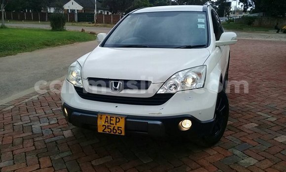 Tenga Tsaru Honda CR–V Chena Mota in Harare in Harare Tenga Tsaru Honda CR–V Chena Mota in Harare in Harare