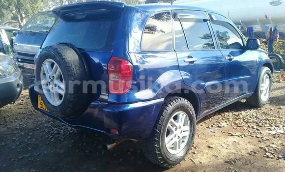 Tenga Tsaru Toyota RAV4 Bhuruu Mota in Harare in Harare Tenga Tsaru Toyota RAV4 Bhuruu Mota in Harare in Harare