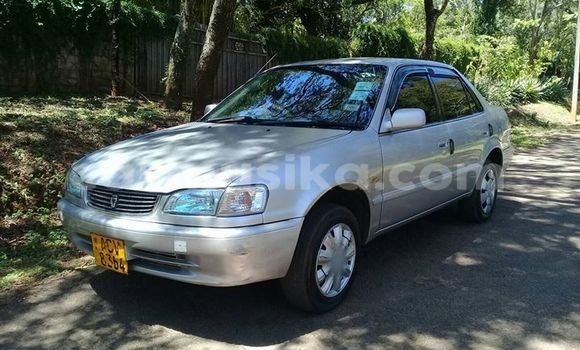 Tenga Tsaru Toyota Corolla Sirivha Mota in Harare in Harare Tenga Tsaru Toyota Corolla Sirivha Mota in Harare in Harare