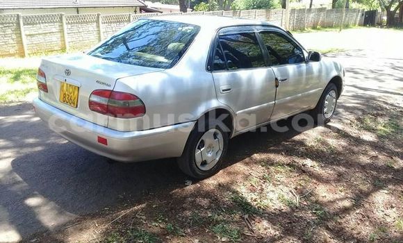 Tenga Tsaru Toyota Corolla Sirivha Mota in Harare in Harare Tenga Tsaru Toyota Corolla Sirivha Mota in Harare in Harare