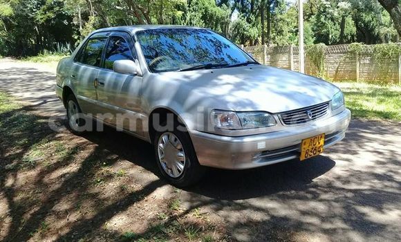 Tenga Tsaru Toyota Corolla Sirivha Mota in Harare in Harare Tenga Tsaru Toyota Corolla Sirivha Mota in Harare in Harare