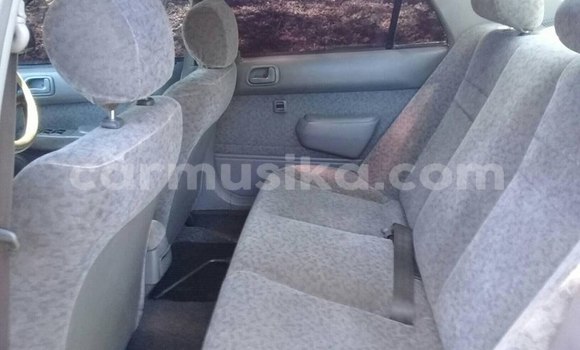 Tenga Tsaru Toyota Corolla Sirivha Mota in Harare in Harare Tenga Tsaru Toyota Corolla Sirivha Mota in Harare in Harare