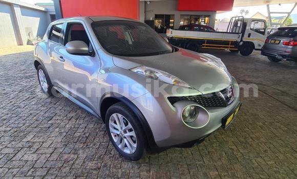 Tenga Tsaru Nissan Juke Chena Mota in Harare in Harare