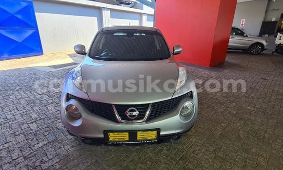 Buy Used Nissan Juke White Car in Harare in Harare Buy Used Nissan Juke White Car in Harare in Harare