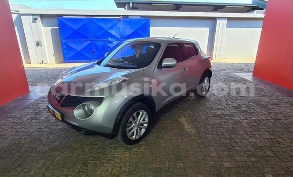 Buy Used Nissan Juke White Car in Harare in Harare Buy Used Nissan Juke White Car in Harare in Harare