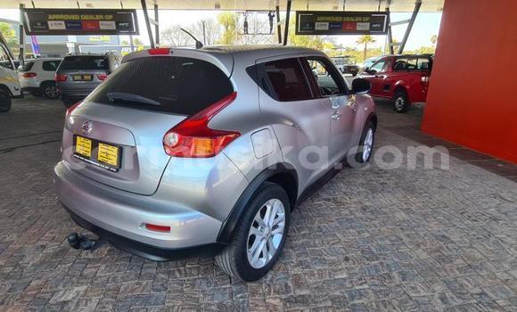 Buy Used Nissan Juke White Car in Harare in Harare Buy Used Nissan Juke White Car in Harare in Harare
