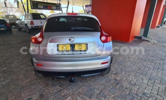 Buy Used Nissan Juke White Car in Harare in Harare Buy Used Nissan Juke White Car in Harare in Harare