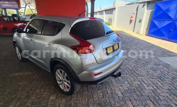 Buy Used Nissan Juke White Car in Harare in Harare Buy Used Nissan Juke White Car in Harare in Harare
