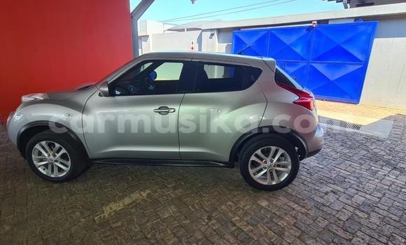 Buy Used Nissan Juke White Car in Harare in Harare Buy Used Nissan Juke White Car in Harare in Harare