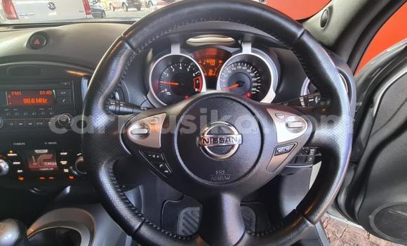 Buy Used Nissan Juke White Car in Harare in Harare Buy Used Nissan Juke White Car in Harare in Harare