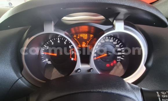 Buy Used Nissan Juke White Car in Harare in Harare Buy Used Nissan Juke White Car in Harare in Harare