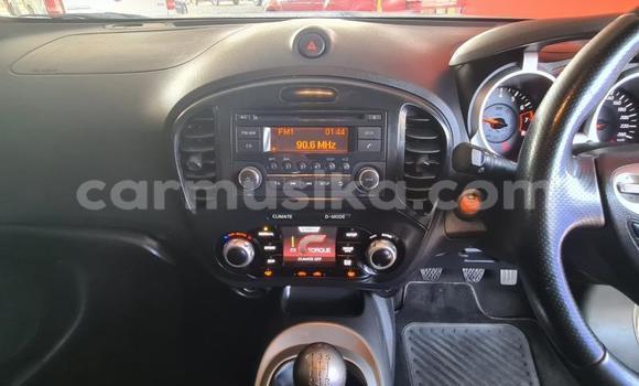 Buy Used Nissan Juke White Car in Harare in Harare Buy Used Nissan Juke White Car in Harare in Harare