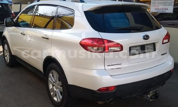 Acheter Occasion Voiture Subaru Tribeca Blanc à Beitbridge, Matabeleland South Acheter Occasion Voiture Subaru Tribeca Blanc à Beitbridge, Matabeleland South