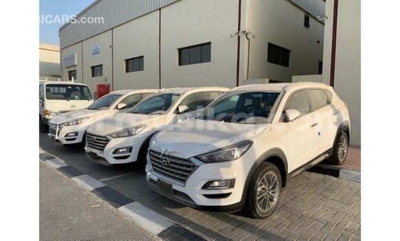 Buy Import Hyundai Tucson White Car in Import - Dubai in Harare Buy Import Hyundai Tucson White Car in Import - Dubai in Harare