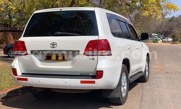 Acheter Occasion Voiture Toyota Land Cruiser Blanc à Harare, Harare Acheter Occasion Voiture Toyota Land Cruiser Blanc à Harare, Harare