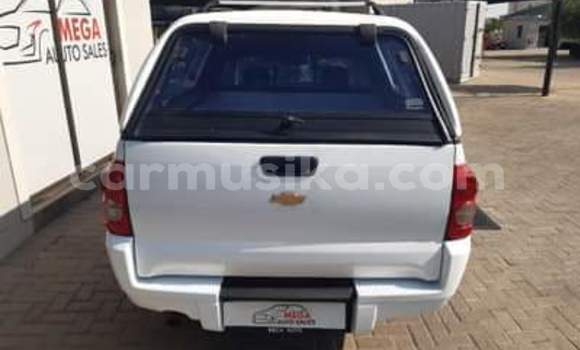 Buy Used Opel Corsa White Car in Beitbridge in Matabeleland South Buy Used Opel Corsa White Car in Beitbridge in Matabeleland South