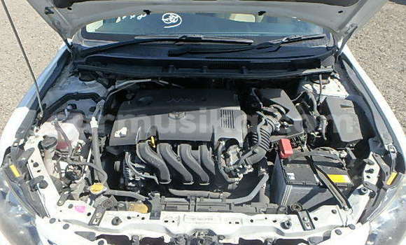 Acheter Occasion Voiture Toyota Allion Blanc à Beitbridge, Matabeleland South Acheter Occasion Voiture Toyota Allion Blanc à Beitbridge, Matabeleland South