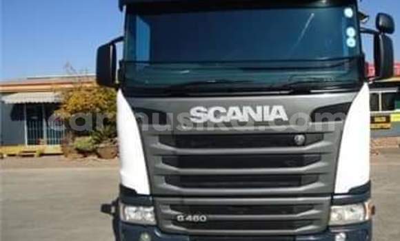 Acheter Occasion Utilitaire Scania R420 Blanc à Beitbridge, Matabeleland South Acheter Occasion Utilitaire Scania R420 Blanc à Beitbridge, Matabeleland South