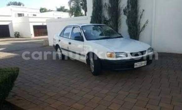 Buy Used Toyota Corolla White Car in Beitbridge in Matabeleland South