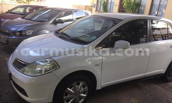 Tenga Tsaru Nissan Almera Chena Mota in Beitbridge in Matabeleland South